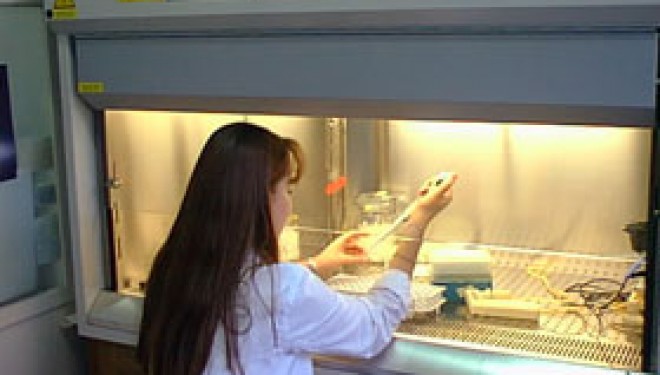Pielea umana crescuta in laborator ar putea inlocui testele pe animale-studiu Pielea umana crescuta in laborator ar putea inlocui testele pe animale-studiu