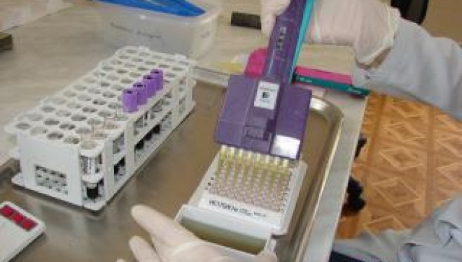 Descoperire majora in domeniul biologiei sintetice: Oamenii de stiinta au creat primul cromozom artificial de drojdie