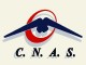CNAS a finalizat licitatia: Team Net International a câștigat mentenanța sistemului informatic de sănătate