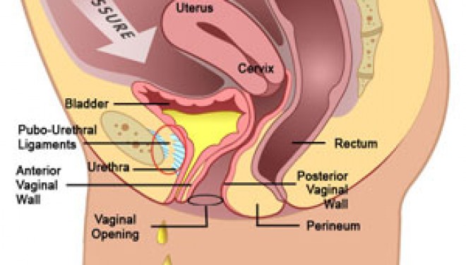Clinica de Urologie a Spitalului Clinic Judetean Mures va derula un program de screening gratuit pentru incontinenta urinara la femei Clinica de Urologie a Spitalului Clinic Judetean Mures va derula un program de screening gratuit pentru incontinenta urinara la femei