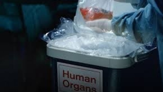 Calitatea de donator de organe, trecuta pe cardul de sanatate cu adeverinta de la notar. Calitatea de donator de organe, trecuta pe cardul de sanatate cu adeverinta de la notar.