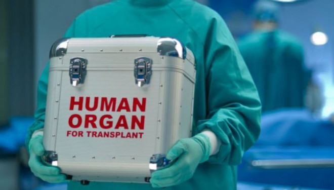 Primul transplant de cap din lume ar putea fi realizat peste doi ani Primul transplant de cap din lume ar putea fi realizat peste doi ani