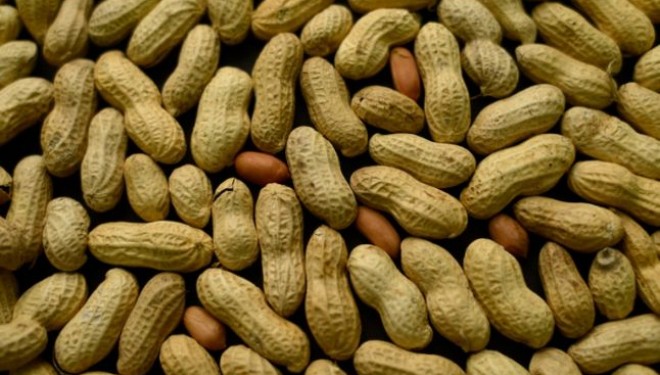 Introducerea unor alimente continand arahide in hrana bebelusilor ar putea reduce cu 81% riscul dezvoltarii de alergii Introducerea unor alimente continand arahide in hrana bebelusilor ar putea reduce cu 81% riscul dezvoltarii de alergii