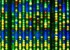 Etica /vs/ sanatate publica: genomul uman 100% sintetic ar putea deveni curand realitate