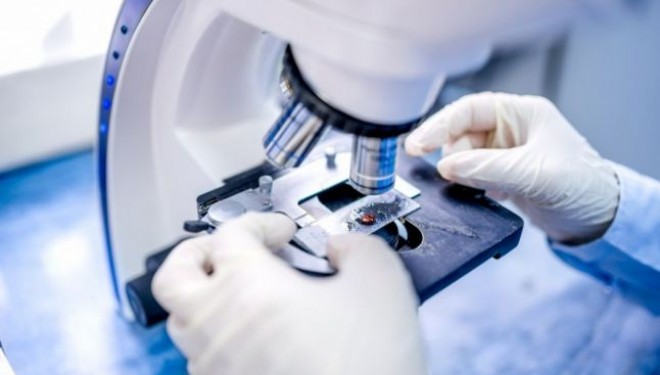 Premiera medicala. Doi copii vindecati de leucemie prin inginerie genetica cu celule de la donator universal? Premiera medicala. Doi copii vindecati de leucemie prin inginerie genetica cu celule de la donator universal?