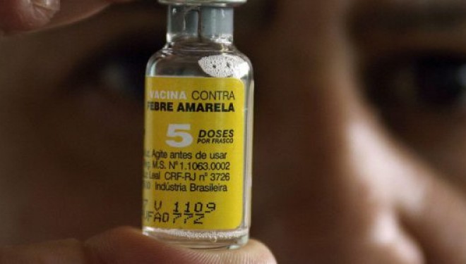Descoperire de ultimă oră: vaccin împotriva rabiei și febrei galbene Descoperire de ultimă oră: vaccin împotriva rabiei și febrei galbene