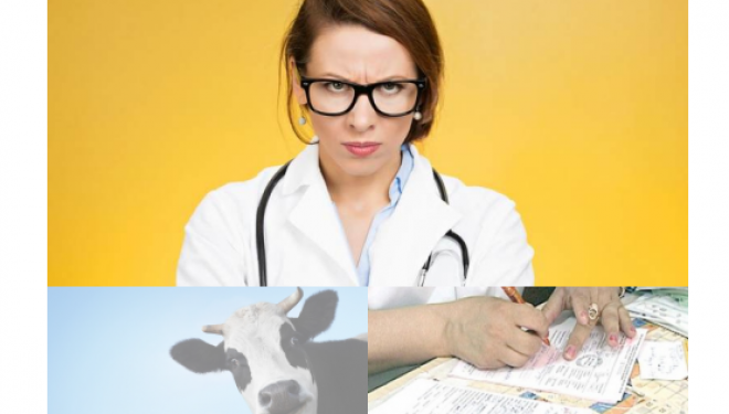 Vaca, fiscul si reteta 0-700 si bineinteles medicul de familie. Vaca, fiscul si reteta 0-700 si bineinteles medicul de familie.