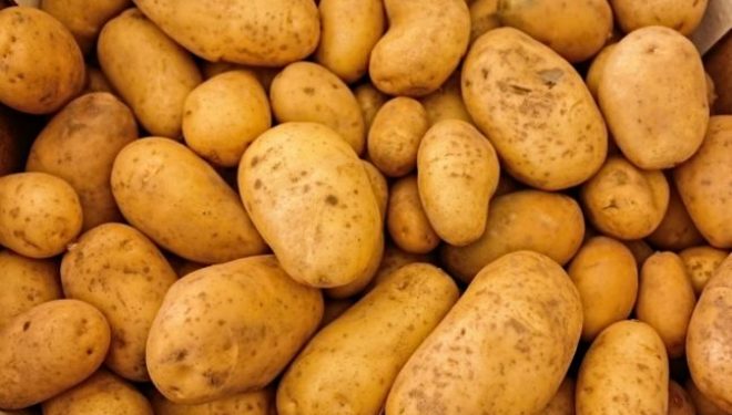 Ce boli trateaza cartoful. Cum să îl foloseşti Ce boli trateaza cartoful. Cum să îl foloseşti