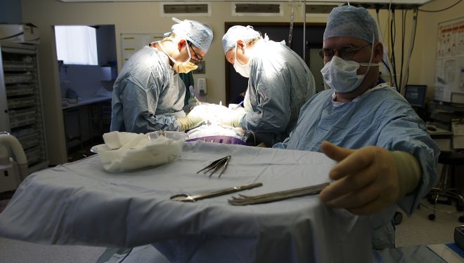 Când viața unui om depinde de orarul curselor aeriene. Câteva minute de întârziere pot nărui șansele unui transplant reușit Când viața unui om depinde de orarul curselor aeriene. Câteva minute de întârziere pot nărui șansele unui transplant reușit