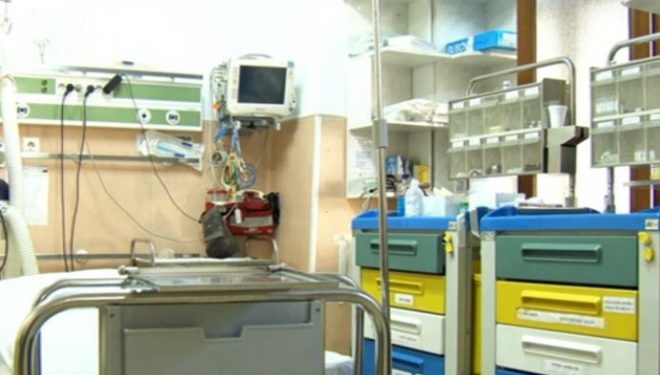 Toți răniții atacului de la Spitalul Săpoca au fost aduși la București. Care este starea lor Toți răniții atacului de la Spitalul Săpoca au fost aduși la București. Care este starea lor