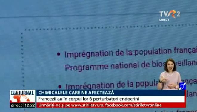 Chimicalele care ne afectează. Francezii au în corpul lor cel puţin şase perturbatori endocrini Chimicalele care ne afectează. Francezii au în corpul lor cel puţin şase perturbatori endocrini