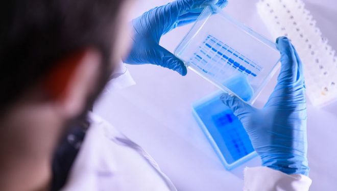 UE ar putea aproba folosirea Remdesivir în tratarea bolii Covid-19. Anunț de la Agenția Europeană a Medicamentului UE ar putea aproba folosirea Remdesivir în tratarea bolii Covid-19. Anunț de la Agenția Europeană a Medicamentului