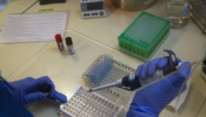 Un studiu contrazice cercetările anterioare precum că există o legătură între grupa de sânge şi sensibilitatea la COVID-19 Un studiu contrazice cercetările anterioare precum că există o legătură între grupa de sânge şi sensibilitatea la COVID-19