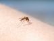 Un bărbat a murit din cauza infecției cu virusul West Nile, transmis de țânțari