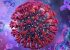 O nouă variantă de coronavirus, cu mutaţii fără precedent în proteina Spike, identificată în Europa. Ce spun medicii
