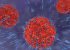 Un nou studiu despre cât durează anticorpii după îmbolnăvirea de COVID-19. Persoanele cu alte afecţiuni, care trec prin boală, şi mai protejate