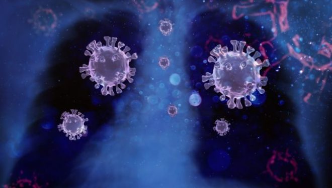 China a descoperit un anticorp monoclonal care neutralizează toate tulpinile de coronavirus. Acesta se leagă de cea mai stabilă zonă din structura proteinei S a coronavirusului