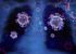 Subvarianta Centaurus ocoleşte imunitatea dată de vaccin şi de boală. Cercetător: Această tulpină ar fi mai infecţioasă decât Omicron
