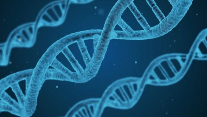 Un studiu german a descoperit o genă care scade riscul de deces cauzat de COVID-19