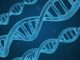Un studiu german a descoperit o genă care scade riscul de deces cauzat de COVID-19